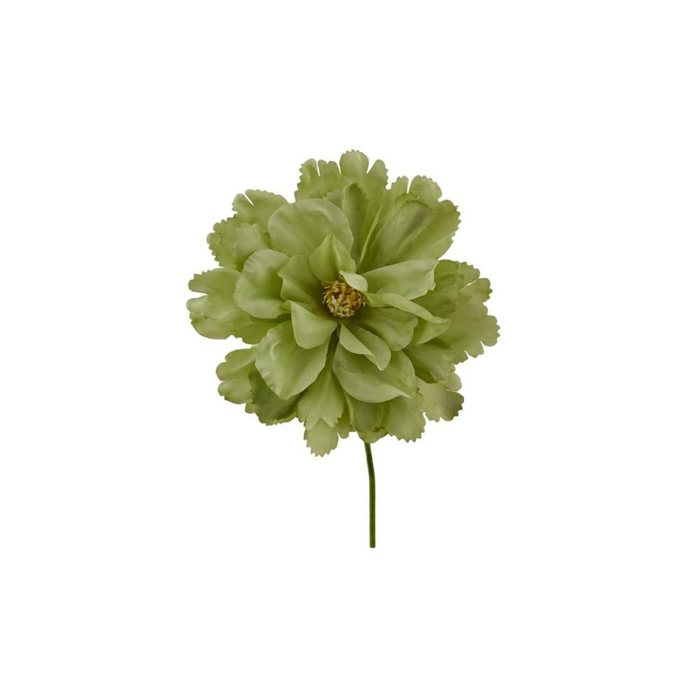 PEONIA VERDE D.14 L.15